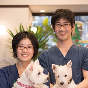 飼い主、そしてペットと時間をかけてじっくり向き合いたい
