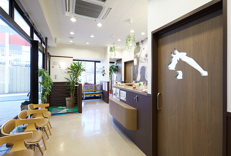 循環器認定医が教える犬と猫の心臓病｜上野の森どうぶつ病院｜東京都 