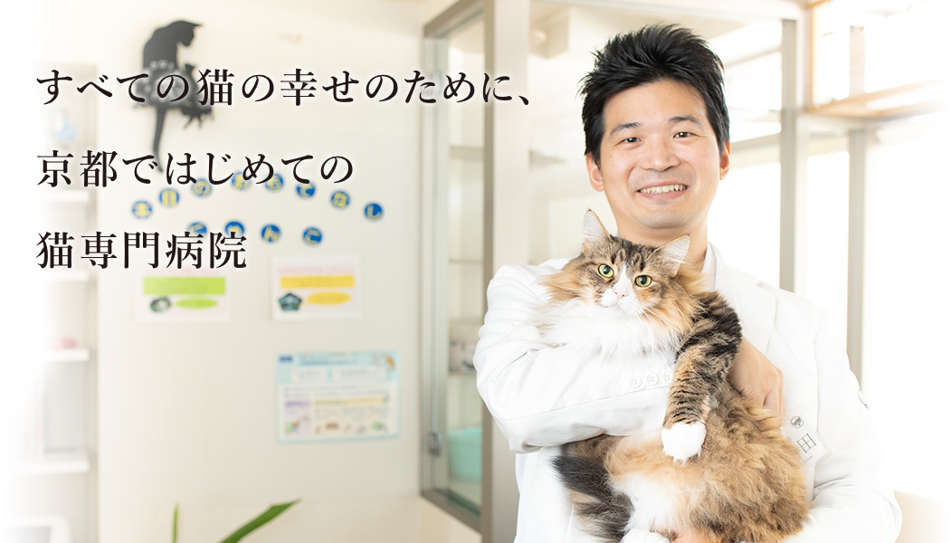 すべての猫の幸せのために 京都ではじめての猫専門病院 動物病院 京都 ねこの病院 京都府京都市上京区 ドクターズインタビュー 動物病院 Part 2