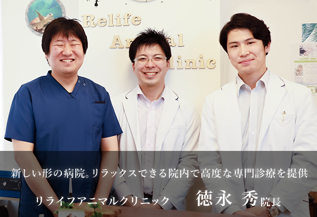 ほう せい アニマル クリニック