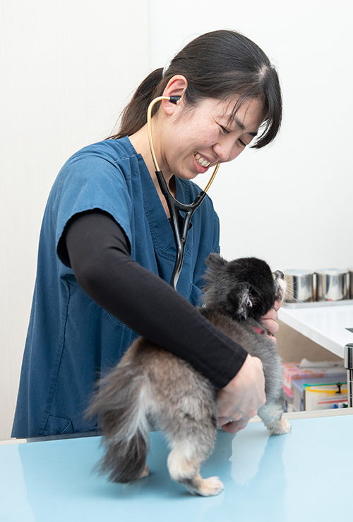 犬のアトピー性皮膚炎 かゆみを抑える治療 久米川みどり動物病院 東京都東村山市 ドクターズインタビュー 動物病院