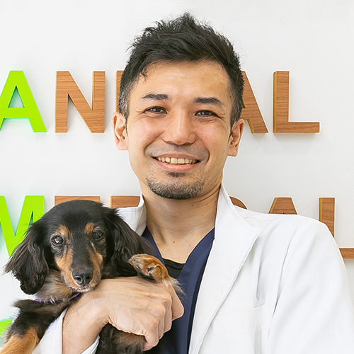 犬と猫の尿管結石（尿管閉塞）に対する治療〜外科手術を中心に 