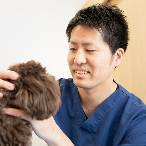 犬の僧帽弁閉鎖不全症は、早期発見と早期治療が重要