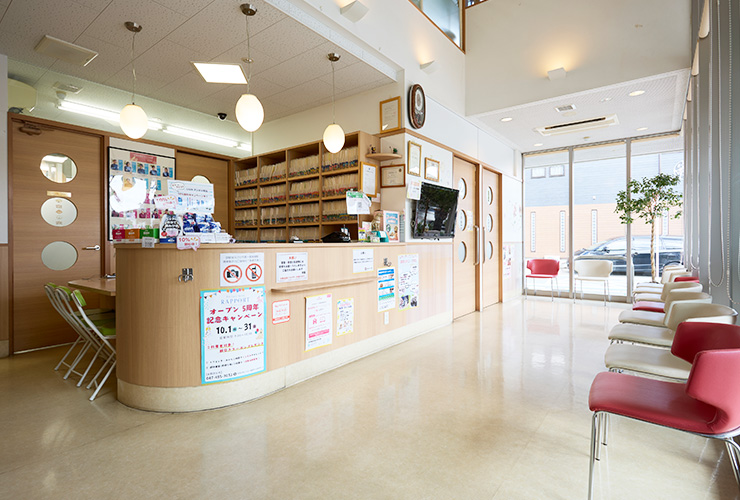 犬と猫のがん治療の新しい選択肢「電気化学療法」