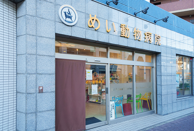 飼い主さんとの対話を大切に、家族目線で医療を提供したい