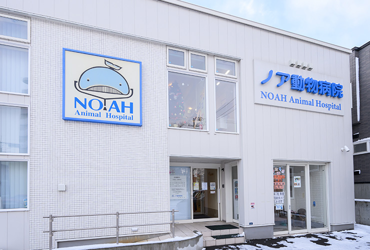 日常的な動作でも発生する、小型犬の橈尺骨骨折・椎間板ヘルニア