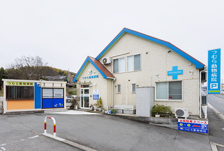 僧帽弁閉鎖不全症の治療。地域で頼られる循環器診療を目指して