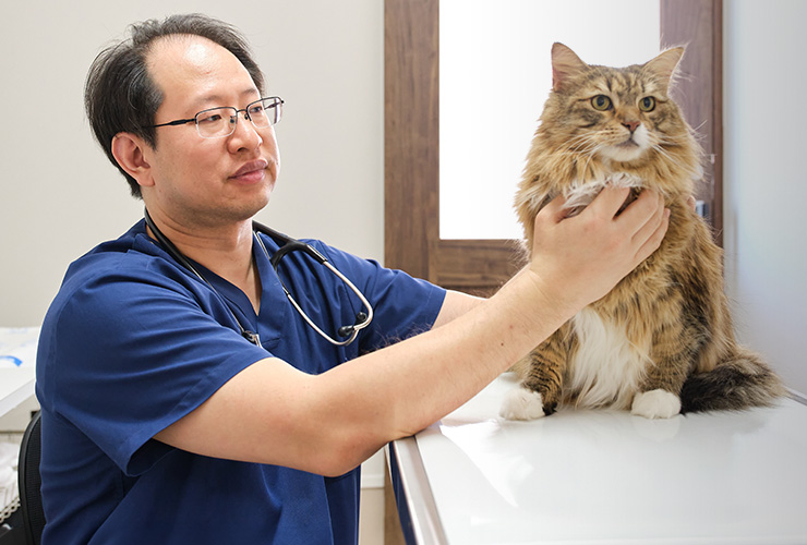 犬と猫のリンパ腫。診断とQOLを維持する抗がん剤治療 | 北央どうぶつ