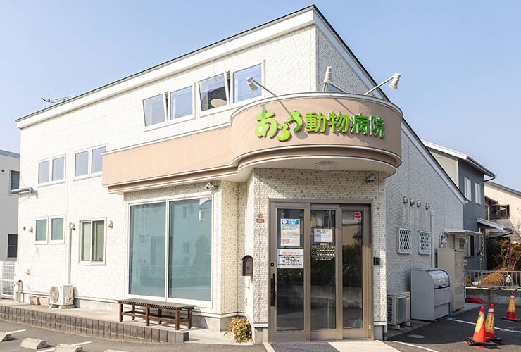 医師と全スタッフで実践する、EBMとNBMを融合させた獣医療